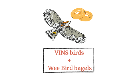 a bird flying towards bagels